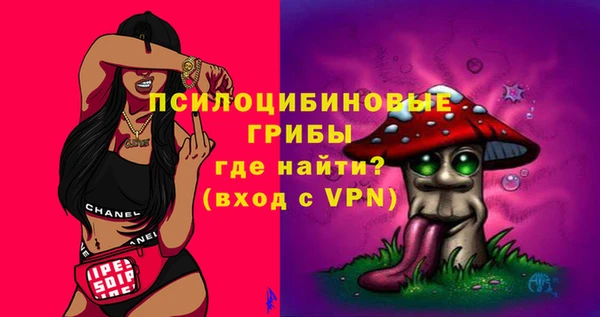 наркотики Бородино