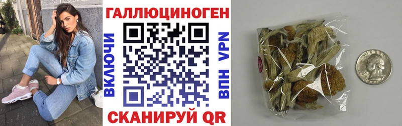 Псилоцибиновые грибы мухоморы  Новороссийск 